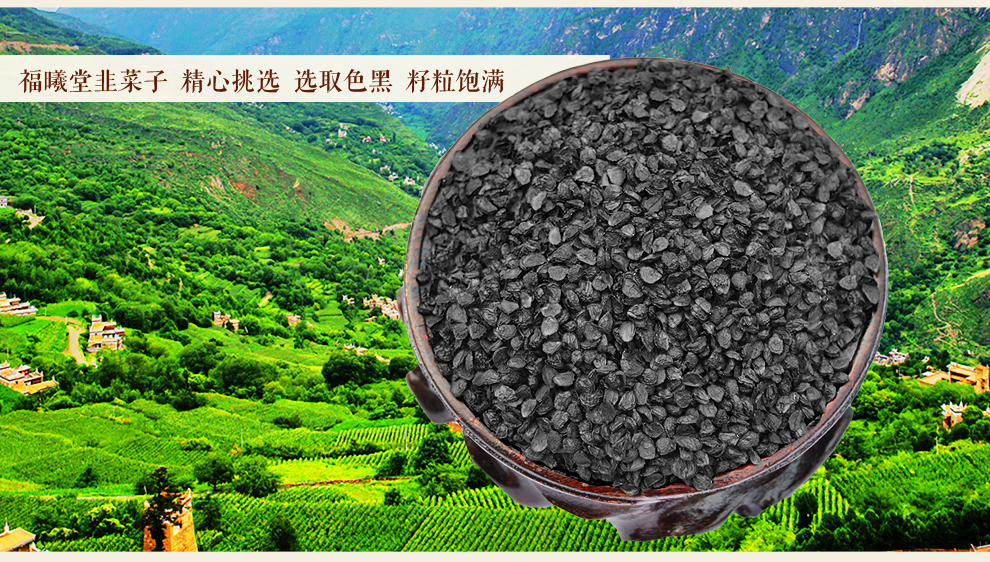 福曦堂韭菜子茶韭菜籽中药材泡酒料煲汤料泡酒药材150克1罐