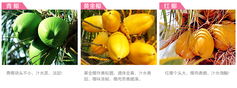 海南星光椰壳活性炭包 新衣柜除甲醛去异味臭味 衣柜衣橱吸味防霉除潮湿640克