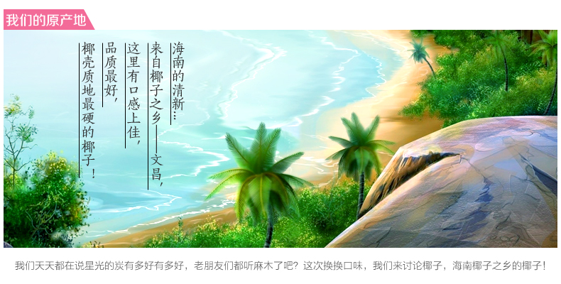 海南星光椰壳活性炭包 新衣柜除甲醛去异味臭味 衣柜衣橱吸味防霉除潮湿640克