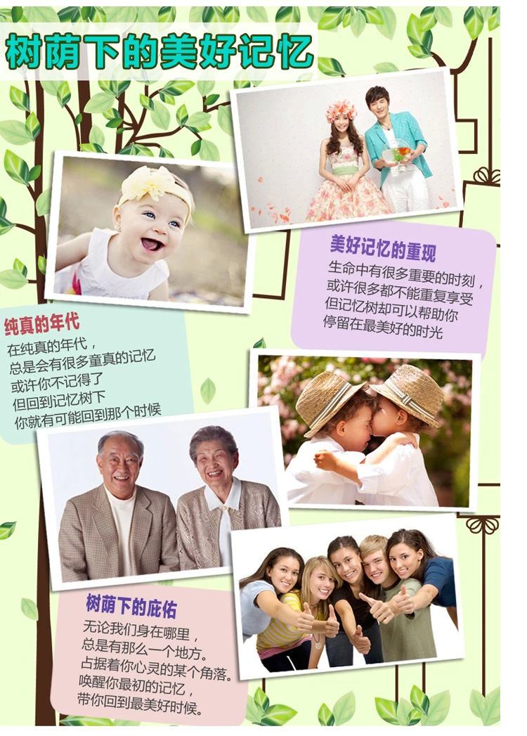 亮点 墙贴家装家饰客厅沙发墙电视墙贴纸 相框墙贴照片墙贴 记忆树