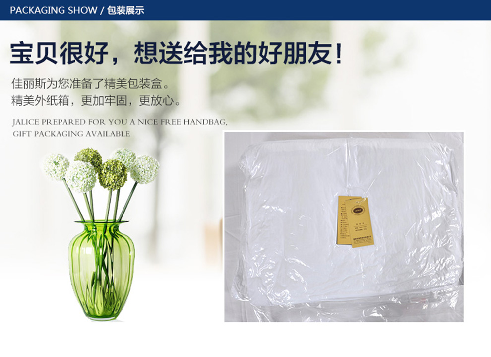 佳丽斯单人蚊帐 学生上下铺 无支架 0.9米床蚊帐 白色 0.9米