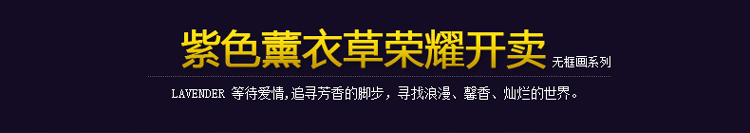 
                                        必画 中画家居 现代薰衣草花海无框画三联墙面装饰画客厅挂画床头画 一套三幅 9mm厚50*50cm 布纹膜                