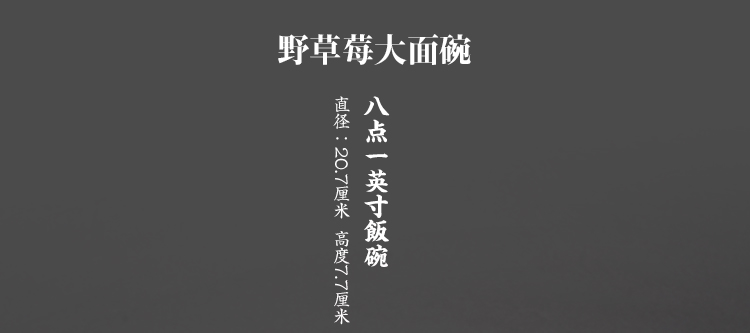 爱悦居 进口盘子饭碗日式餐具套装 日本美浓烧米饭汤碗 酒店家用高档釉下彩和风陶瓷碗盘套装 野草莓16.7cm面钵1只