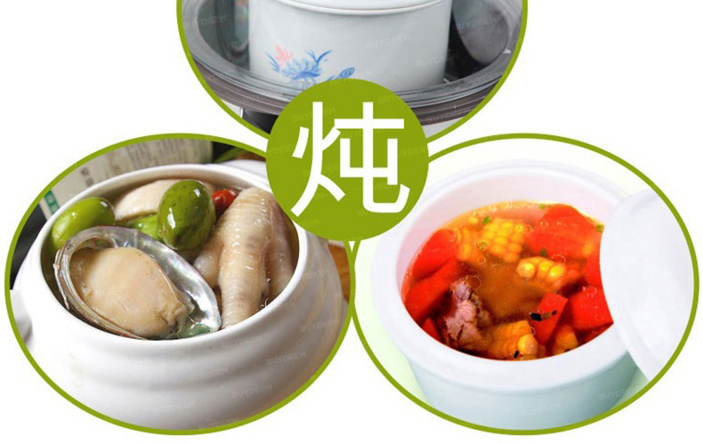 北鼎(BUYDEEM)  蒸、炖、消毒三功能一体智能触控电蒸锅 G500【京东配送】