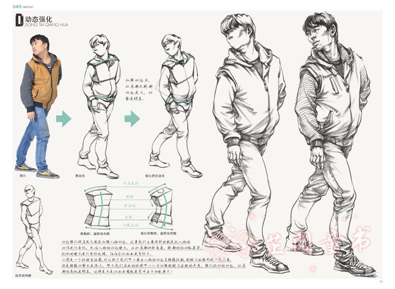 2017敲门砖 速写陈剑伟 人物速写基础人体结构坐站蹲三姿组合场景照片