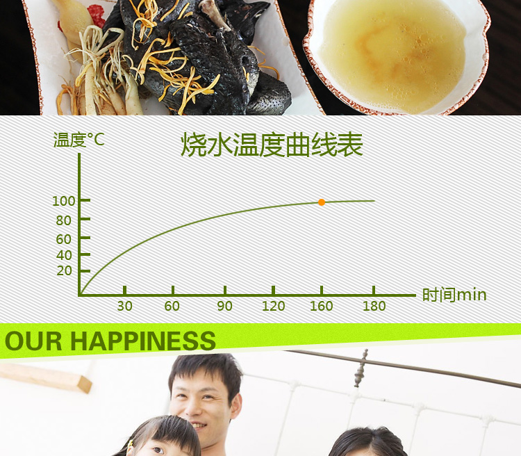 德朗DELAN玻璃慢炖锅电炖锅煲汤煲盅煮粥煮药养生汤煲 MD01