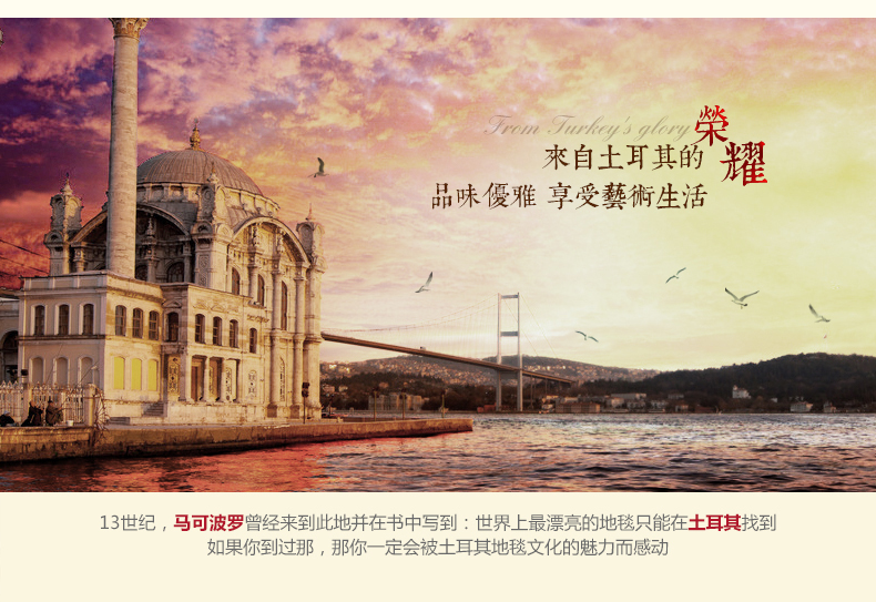 D土耳其进口现代简约客厅茶几沙发地毯卧室地毯手工剪花 法斯特 037A灰 80cm*120cm