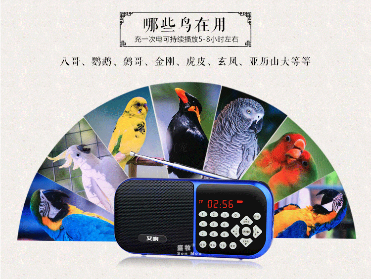 鸟用鹦鹉学机八哥学习机鹩哥录音机复读机教讲话训练学语 红色