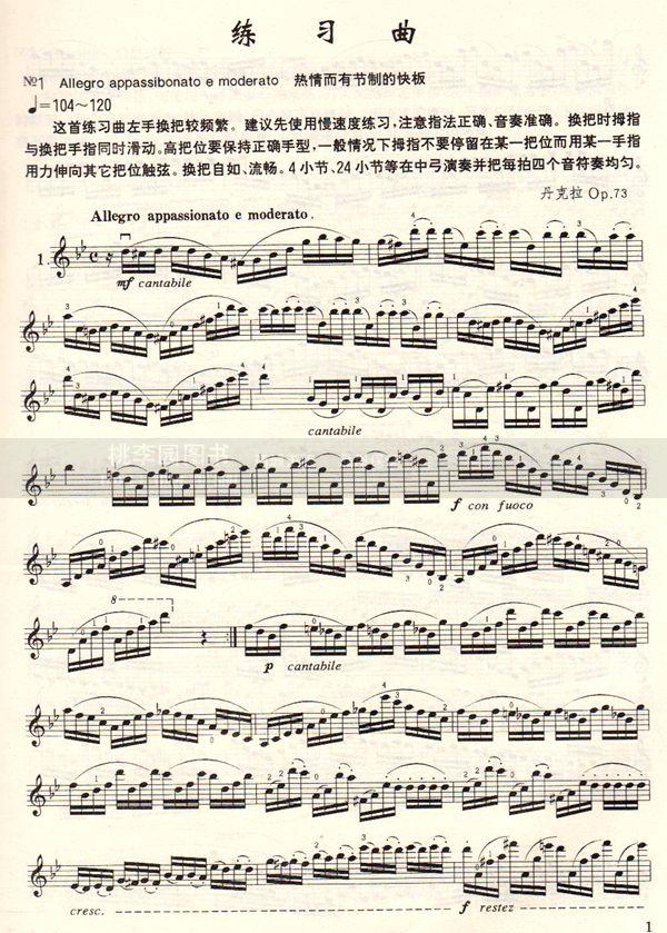 正版 丹克拉小提琴练习曲20首 中国青年出版社 音乐畅销书籍