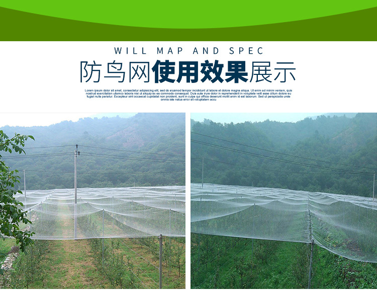 防鸟网尼龙网家用机场果园防鸟网防护网拦葡萄网农用养殖鱼塘天网