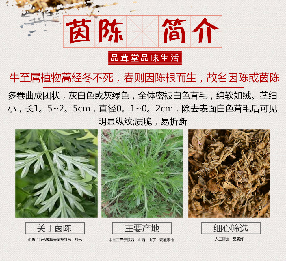 品茸堂 茵陈 茵陈茶 绵茵陈 茵陈蒿 白蒿 茵陈1000g 送500g_现价48元