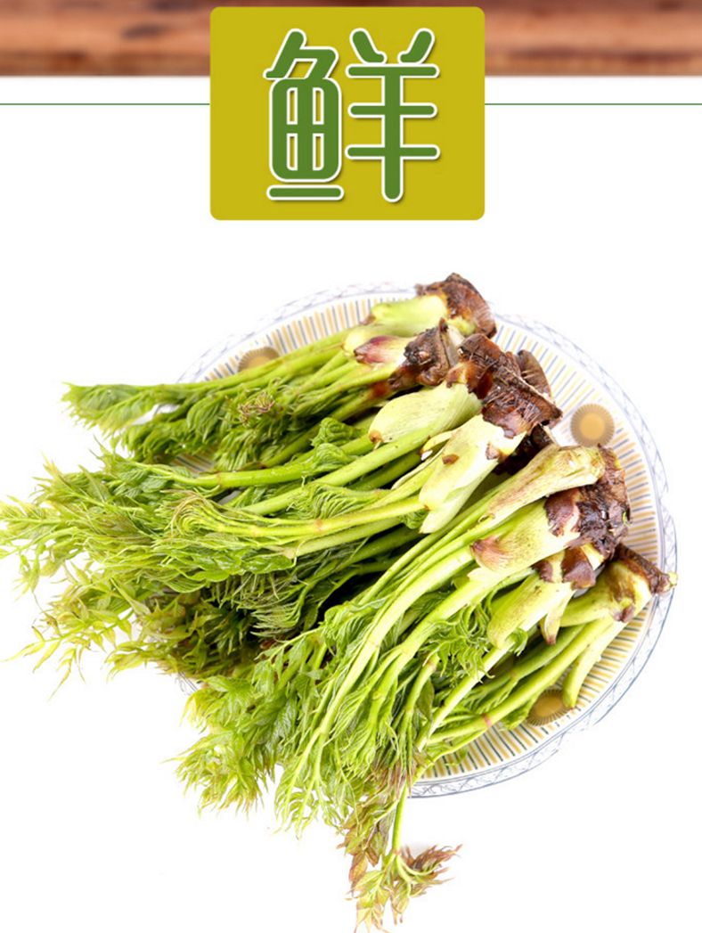 东北特产山野菜刺嫩芽刺龙芽刺老芽菜500g