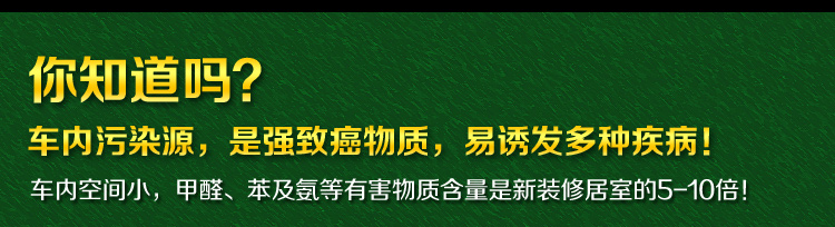 
                                                            绿驰 纳米矿晶强力型竹炭包汽车除味剂 新车除甲醛苯活性炭包车用碳包去味除臭用品 纳米矿晶汽车净味剂*2盒                