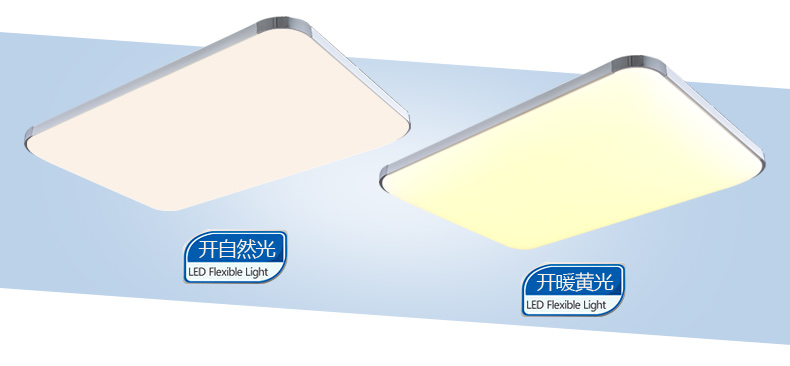 蒙特丽 客厅灯卧室灯餐厅灯书房吸顶灯IP5 现代简约LED灯具 非常薄苹果(B 66*42cm (24w白光led)