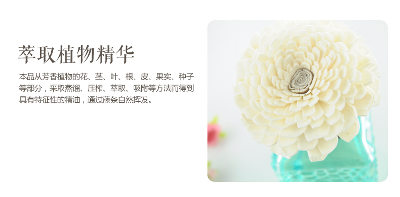 
                                                            维优净MAYCI无火香薰精油套装200ML室内香薰藤条香薰套装房间香水室内装饰摆件 薰衣草                
