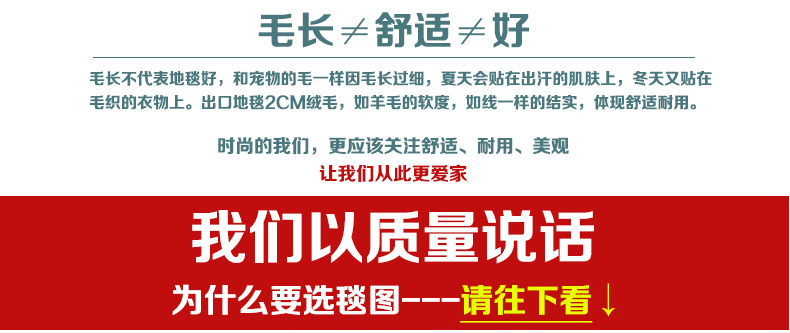 毯图日式水洗地毯 客厅地毯 沙发地垫 房间卧室满铺地毯 茶几防滑垫地毯 深棕色 定制连接  单拍不发货50