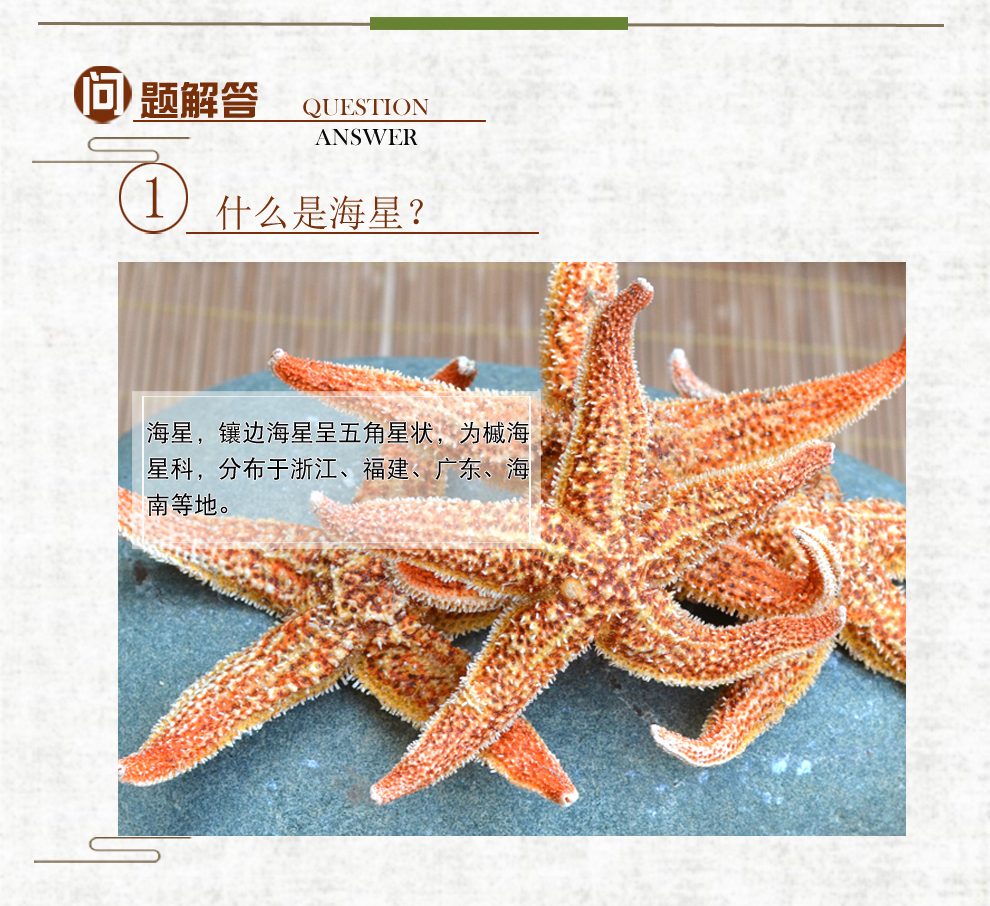 福曦堂海星干海星海南海星干货海燕海南干海星可做泡酒料海星250克1袋