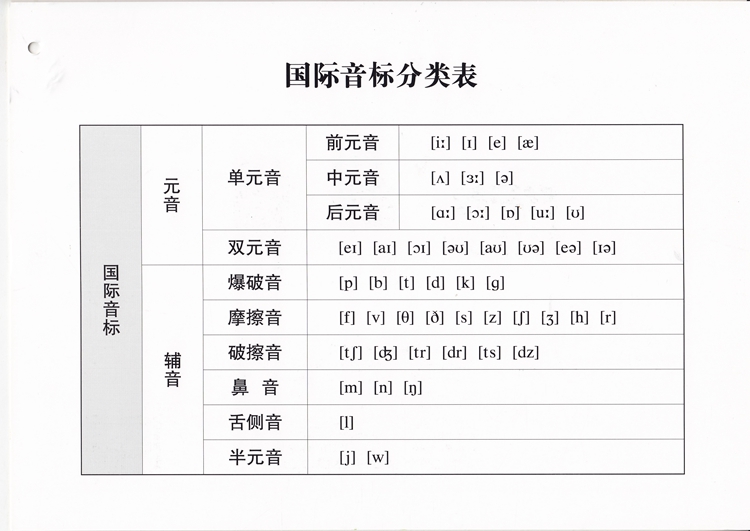 《音标大卡教师卡片 48国际音标教学卡片 幼少儿英语入门 启蒙教材