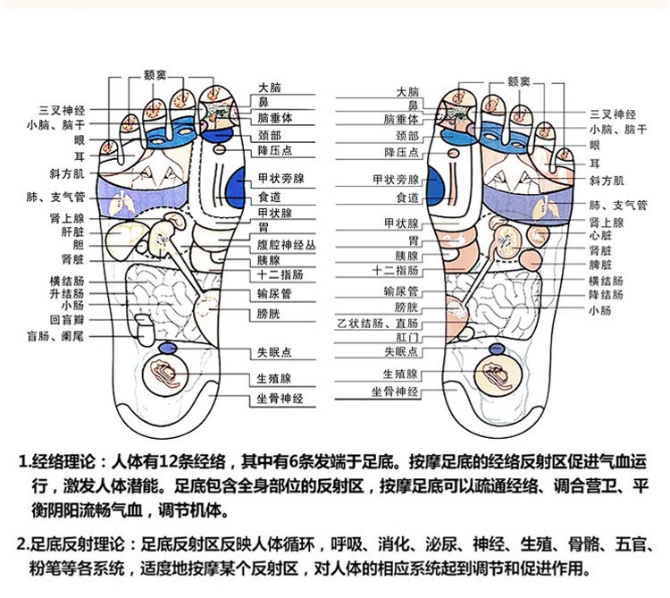 商品选购 音然  商品名称:【多片装】指压板足底按摩垫家用奔跑吧兄弟