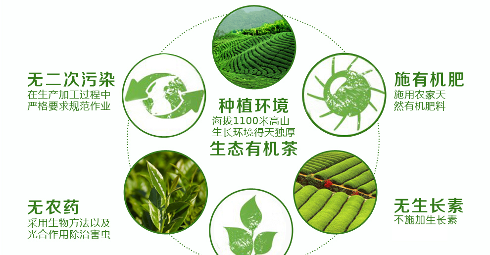 2021年新茶铁观音福建特产乌龙茶铁观音茶叶清香型250g袋装散自饮茶