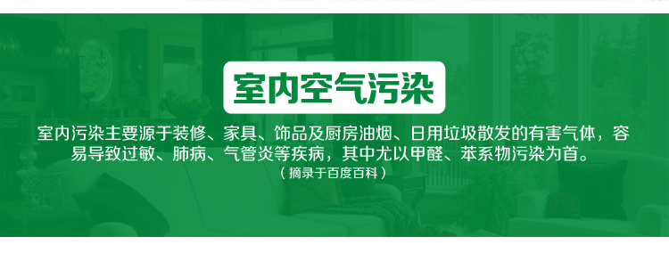 
                                        
                                                            绿驰 甲醛苯系物检测盒 2盒甲醛+2盒苯检测套装 测甲醛试纸仪器 自测甲醛检测仪家用（限量）                