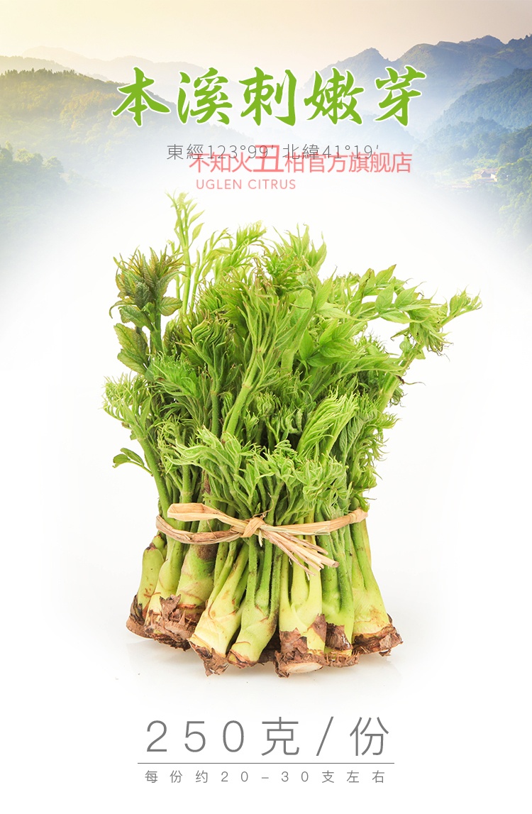 冷冻刺嫩芽保鲜 东北特产山野菜刺龙芽刺老芽 2斤 1kg