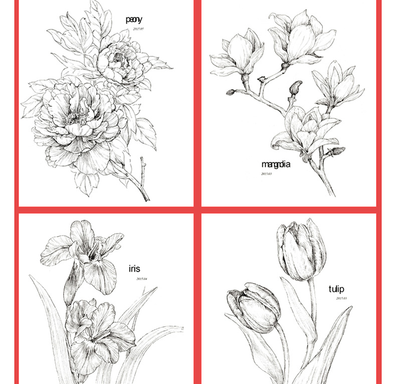 黑白花之绘 素描书花间美人飞乐鸟手绘铅笔画教程入门书籍插画绘画