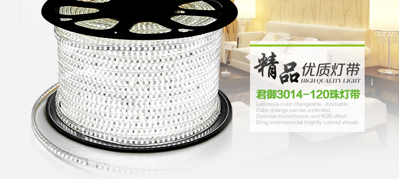 
                                        君御LED灯带120珠3014超亮贴片暗槽客厅吊顶电视墙辅光照明 3014-正白                