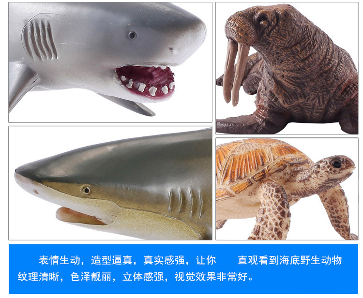 彩色之声 海洋动物模型实心仿真鲨鱼鲸鱼海豚玩具儿童