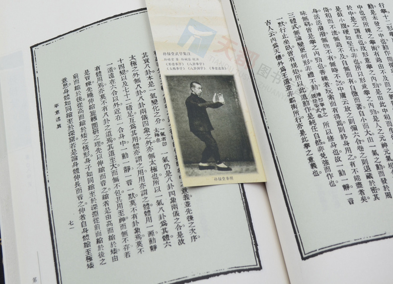 《官方正版 孙禄堂武学集注——拳意述真 高深莫测的内家功夫读者研读