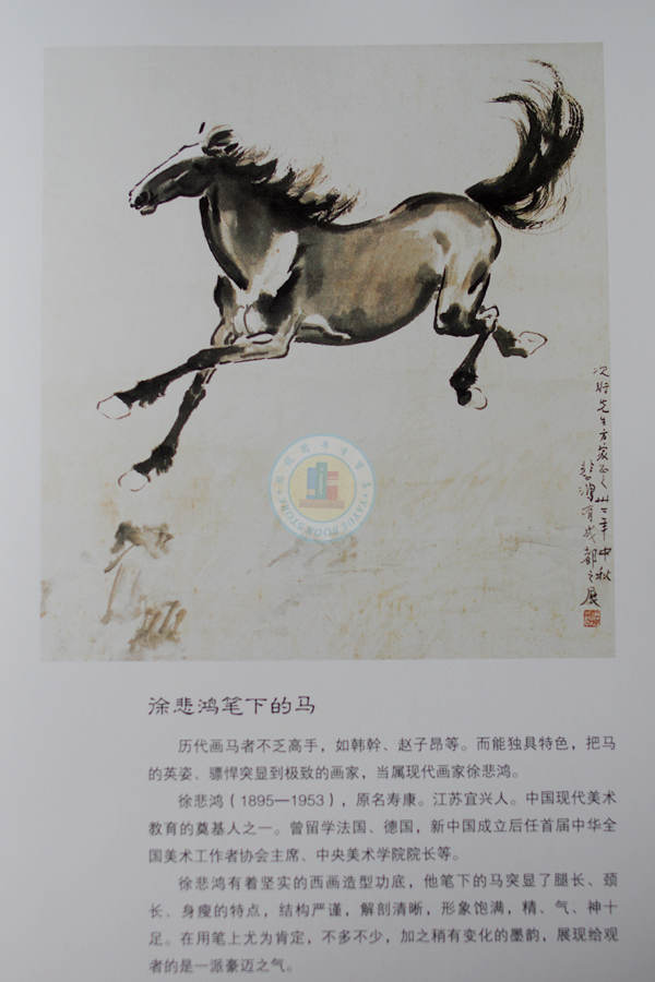 怎样画马 国画基础 正版 中国绘画艺术 名家作品欣赏 画法歌诀 徐悲鸿