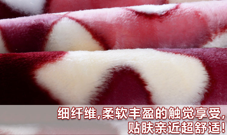 
                                        上海凤凰毛毯仿皮毛10斤厚拉舍尔毯双层加厚秋冬毯 派兹魅惑棕 200*240cm                