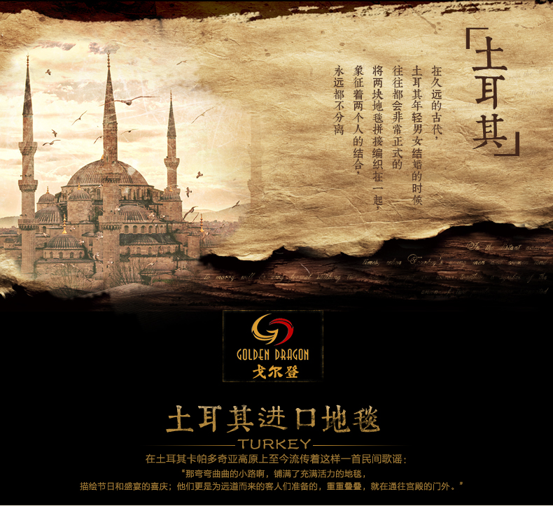 戈尔登地毯 土耳其进口 现代客厅地毯 茶几沙发卧室地毯床前地毯 土耳其进口-32524A 160cmx230cm