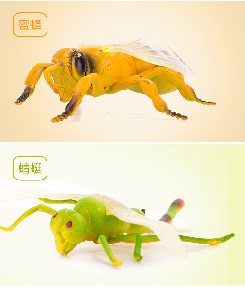 昆虫玩具仿真动物套装虫子动物玩具蜘蛛蚂蚁蜜蜂塑胶儿童恐龙玩具 14