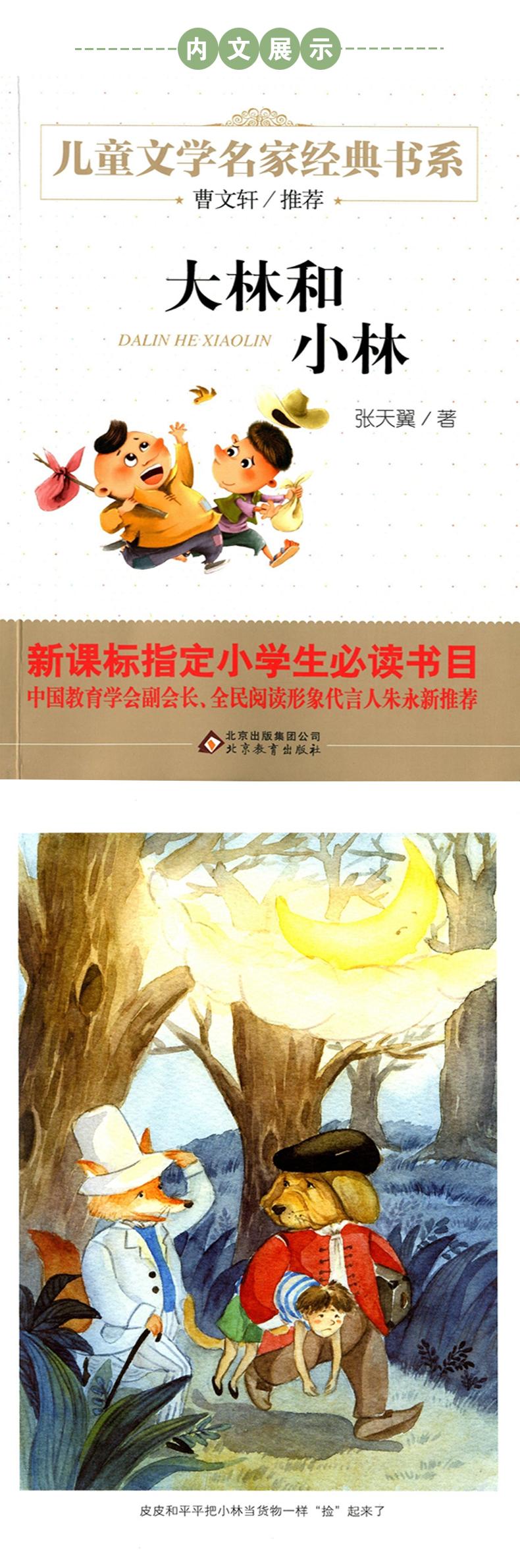 大林和小林/儿童文学名家经典书系(张天翼著 ) 新课标指定小学生必读