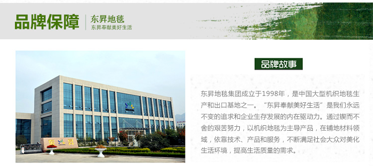 东升地毯 流星雨加厚8厘米 客厅地毯茶几沙发卧室床前床边飘窗大地毯 浅驼色 200x300cm