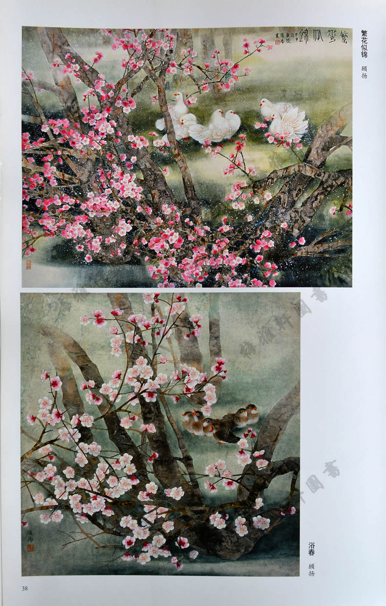 梅雅轩图书 名家工笔梅花精集 8开彩印 梅花工笔画花卉画作品集 绘画