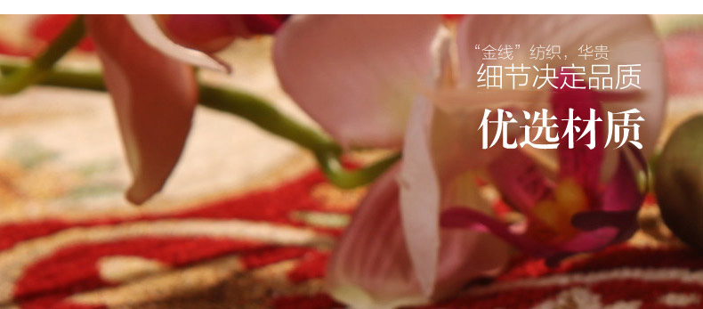 嘉博朗 地毯卧室 方形客厅茶几可机洗环保地毯 防滑地毯 165咖啡色 120cm方
