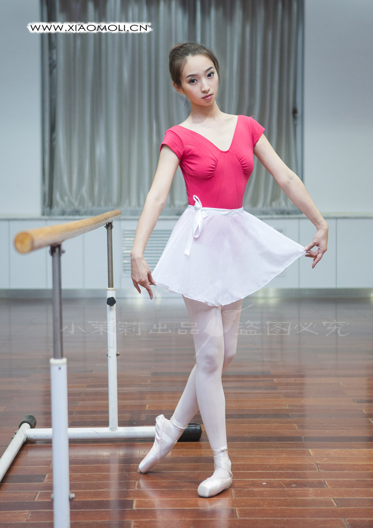 2019新款丹诗戈芭蕾舞服舞蹈服练功服女形体服上衣体操服 女式连体服
