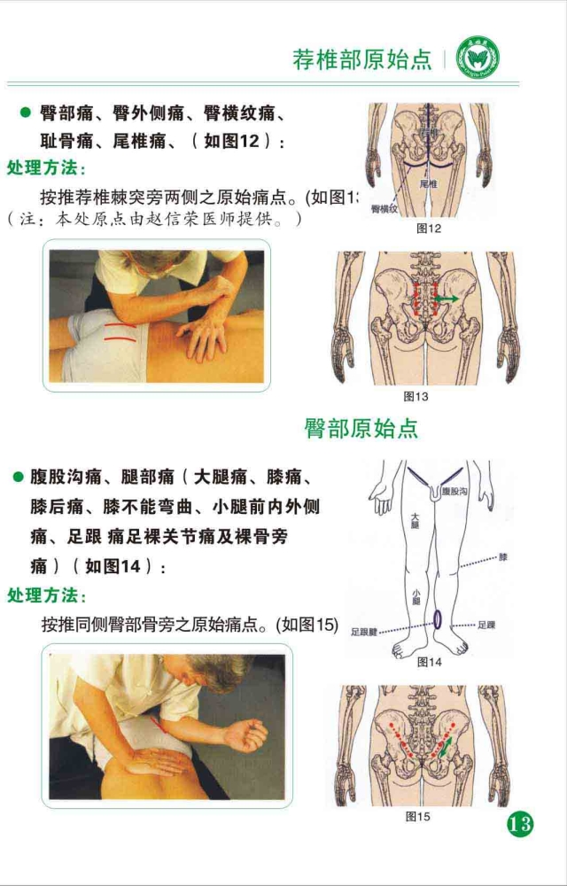 家庭养生保健手册台湾张钊汉原始点松筋健康法/书 碟