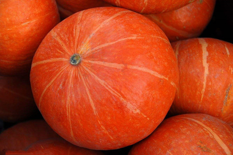 凯琳诺 广西红皮小南瓜 2个装 约2.4kg_ 3折现价24元