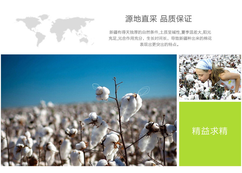 
                                                            凡米特 冬季加厚纯棉双面沙发垫套装布艺沙发套全盖沙发巾加厚飘窗垫坐垫 绿野仙踪 90*240cm单条装                