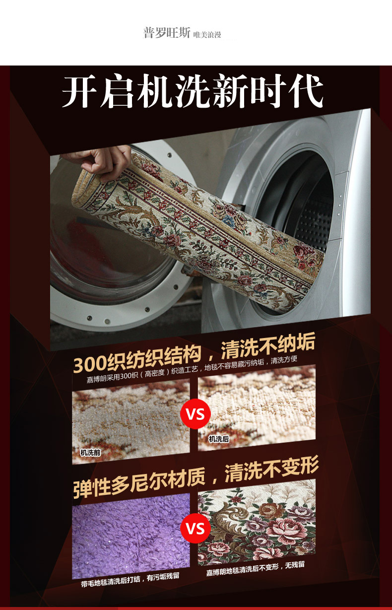 嘉博朗 地毯卧室 方形客厅茶几可机洗环保地毯 防滑地毯 165咖啡色 120cm方