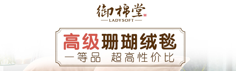 【御棉堂】毛毯珊瑚绒毯子盖毯 秋冬保暖床单 天蓝色 200*230cm双人床
