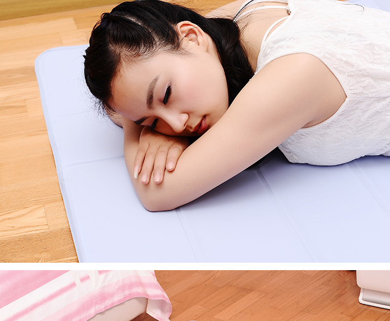 
                                        FaSoLa 第3代冰垫床垫 多功能散热垫冰枕 床上凉垫坐垫 新款夏季清凉凝胶垫 凝胶枕垫40*30cm                