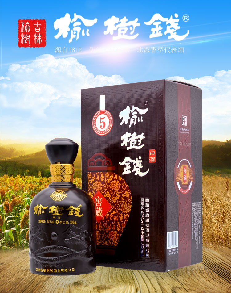 榆树钱窖藏5东北特产吉林名酒42度白酒整箱500ml6瓶含3个手提袋