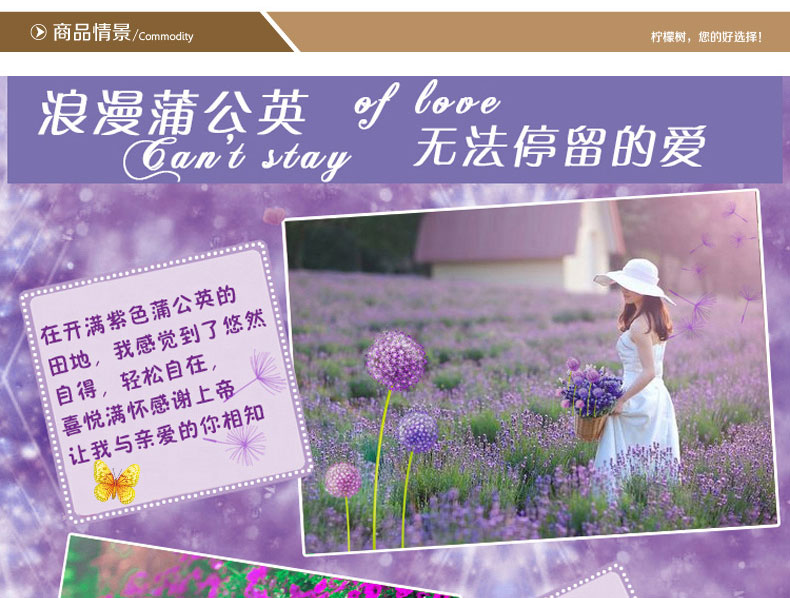 柠檬树 紫色蒲公英墙贴 客厅电视墙沙发背景卧室可移除墙贴纸 LM888(贴好后1.7M高) 大