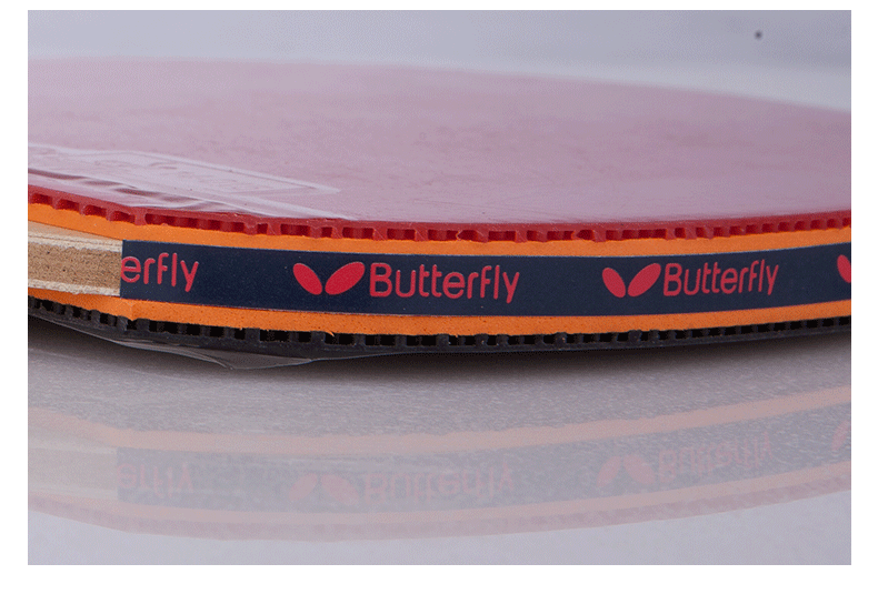 蝴蝶(butterfly)6星成品专业级双面反胶乒乓球拍603-直拍(送精美拍套)