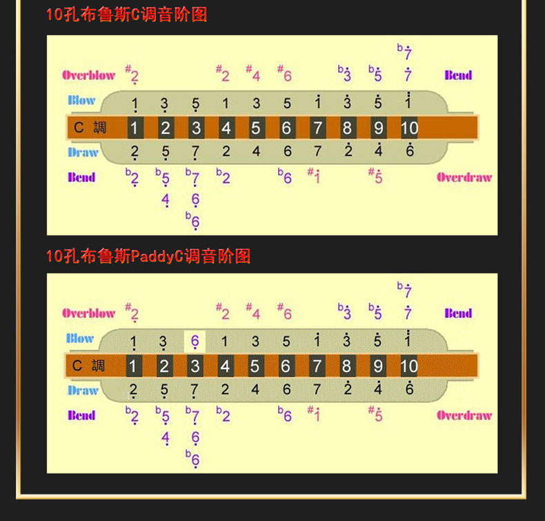 进口音簧东方鼎10孔布鲁斯口琴t008s paddy音阶十孔蓝调口琴高级成人