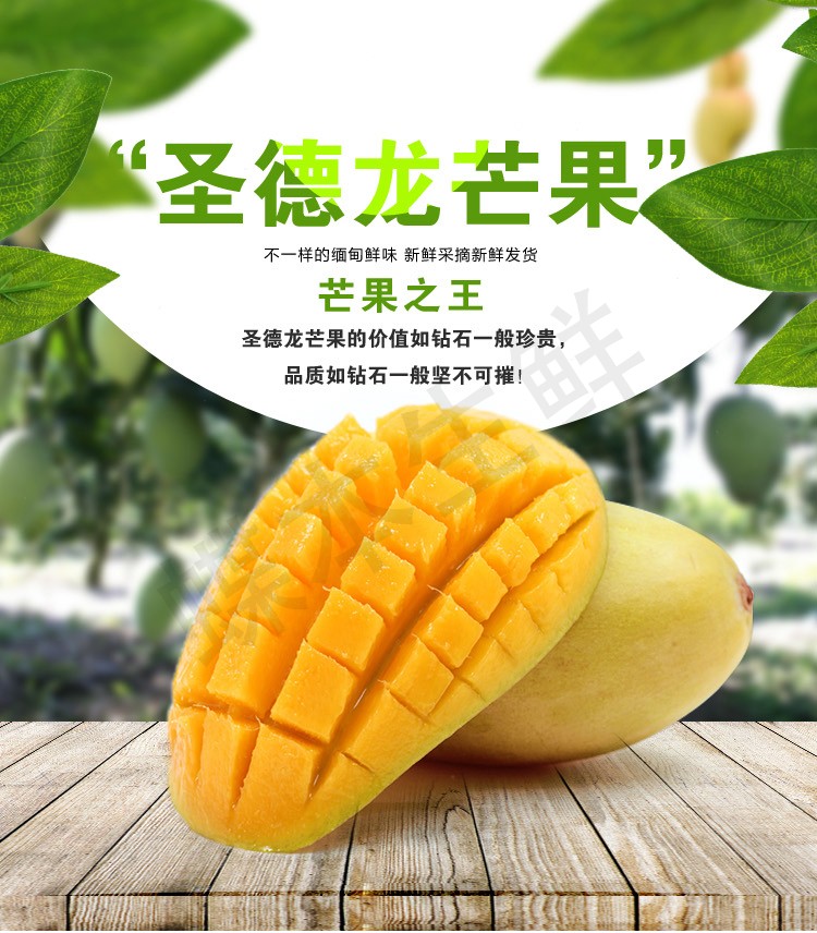 星云湖 缅甸进口圣德龙芒果 5kg 新鲜芒果水果_现价298元